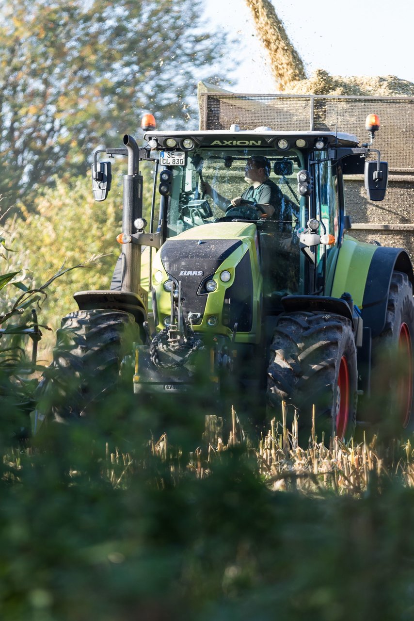 Bild 102 - Maisernte